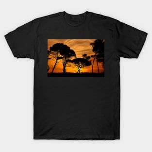 "African" sunset @ Kaiafas beach T-Shirt